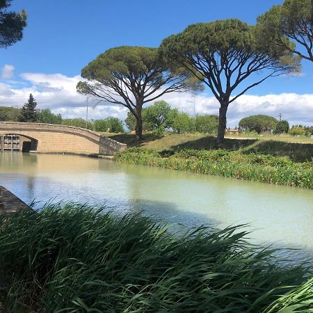 Villa Pintourina Sallèles-dʼAude Exteriör bild