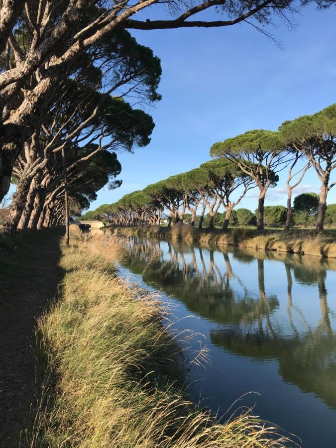 Villa Pintourina Sallèles-dʼAude Exteriör bild