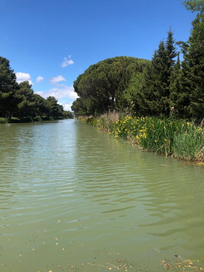 Villa Pintourina Sallèles-dʼAude Exteriör bild